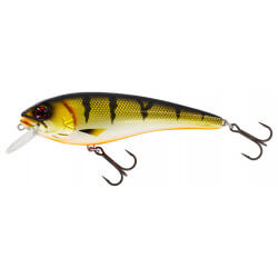 Leurre RawBite Crankbait - WESTIN