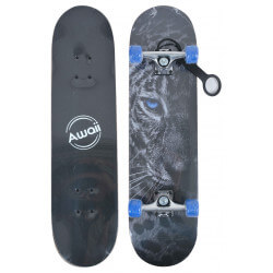 Skateboard découverte en bois 31" et truck aluminium - AWAII