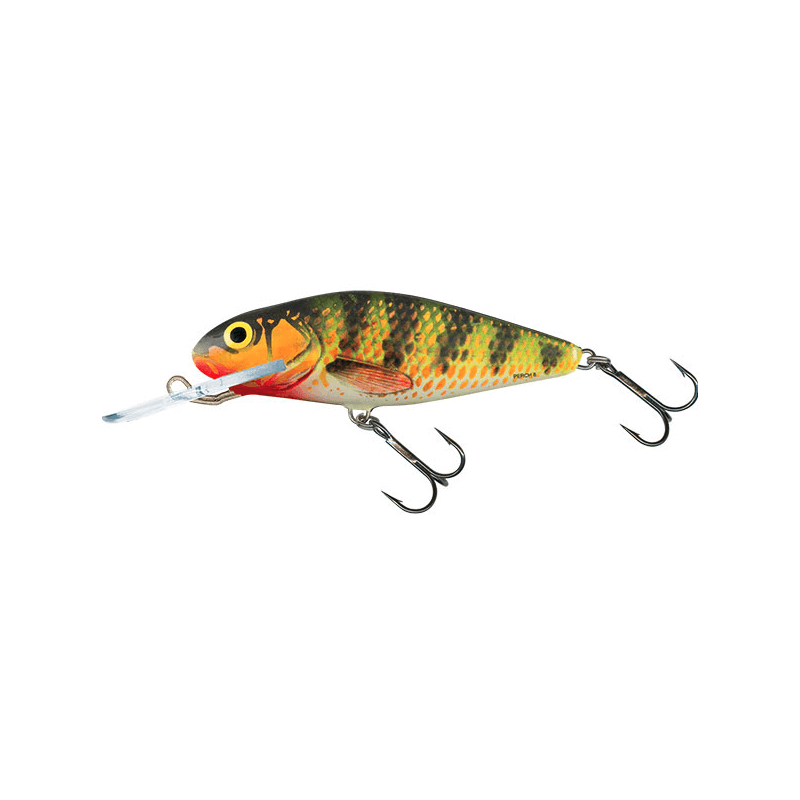 Leurre Perch Floating holographic perch