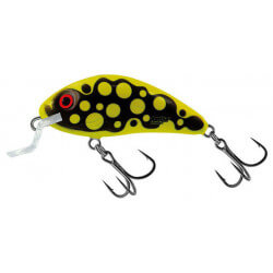 Leurre Rattlin' Hornet Shallow Floating - SALMO