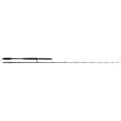 Canne casting W10 Monsterstick-T - WESTIN