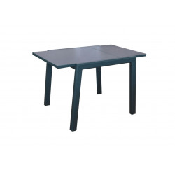 Table Elise 80/120 cm (4 places) - Plateau Verre - ALIZE