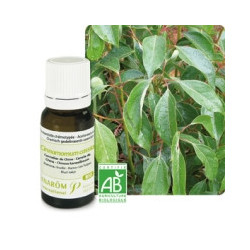 Cannelier de chine BIO