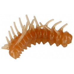 Leurre MAGIC LARVA 1,34" - ILLEX