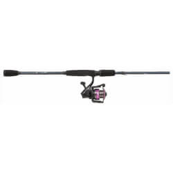 Ensemble Gen Ike Spinning Combo - ABU GARCIA
