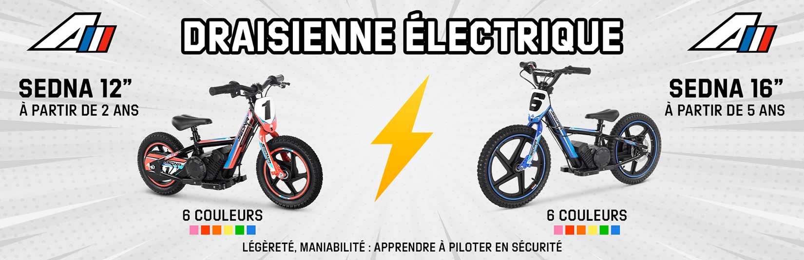 draisienne electrique